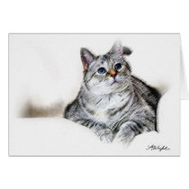 Pastel Sketch of Zilla cards