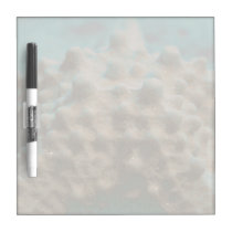 pastel starfish skeleton teal and black.jpg dry erase boards
