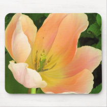 Pastel Tulip Mousepad by ggbythebay Pastel Tulip Mousepad