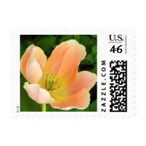 Pastel Tulip Stamp by ggbythebay Pastel Tulip Stamp