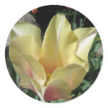 Pastel Tulip Sticker