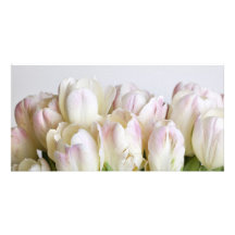 Pastel Tulips Photo Card Template