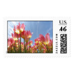 Flowers Postage