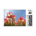 Pastel Tulips stamp