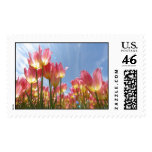 Spring Postage