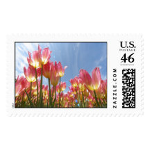 Pastel Tulips Postage Stamps