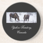 Pasto de alces; Territorio del Yukón, Canadá Posavasos Personalizados