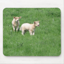 Pastoral Lambs mousepads by zipflmeister Pastoral Lambs mousepads