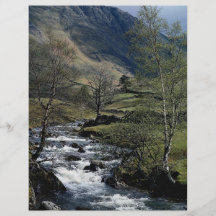 Pasture beck at low Hartsop, Cumbria, U.K. Flyers