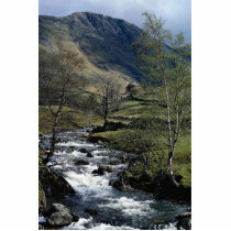 Pasture beck at low Hartsop, Cumbria, U.K. Cut Out