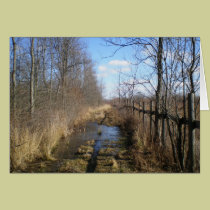 "Pasture Lane in February" cards