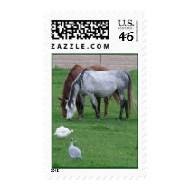 Pasture Postage Stamps