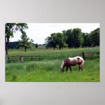 pasture print