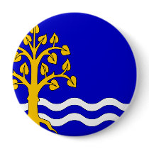 Pastviny, Czech buttons