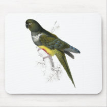 Patagonian Parrakeet-Maccaw by Edward Lear Mousepad