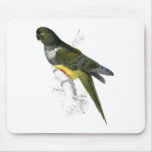 Patagonian Parrakeet-Maccaw by Edward Lear Mousepad