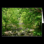 Patapsco River View Card