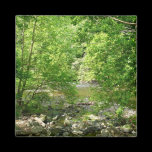 Patapsco River View Magnet