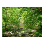 Patapsco River View Postcard