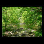 Patapsco River View Postcard