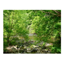 Patapsco River View Postcard