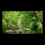 Patapsco River View Poster Print
