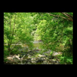 Patapsco River View Poster Print