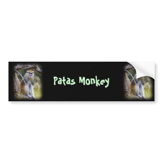Patas Monkey Bumper Sticker