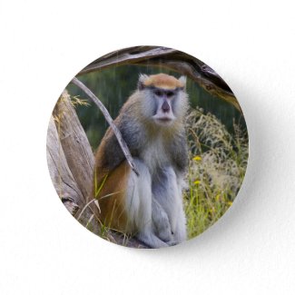 Patas Monkey Buttons