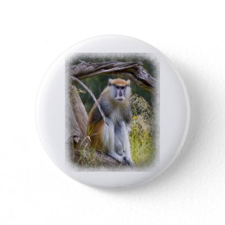Patas Monkey Buttons