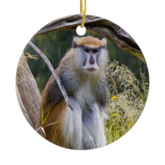 Patas Monkey Christmas Tree Ornament