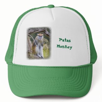 Patas Monkey Mesh Hat