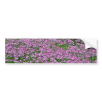 Patch of wild vorbenia in East Texas Yellow flower Bumper Stickers
