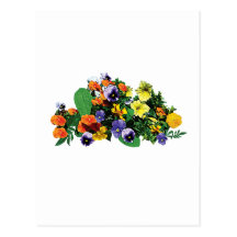 Patch Pansies Postcard