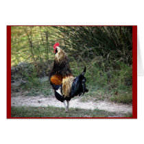 Patch Work Rooster cards