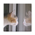 Patches Refrigerator Magnet