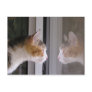Patches Postcards