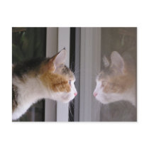 Patches postcards by okcshelter Patches postcards