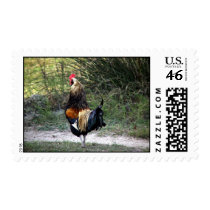 Patches the Rooster postage