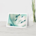 Patchouli Lily, flower, template greeting cards card