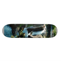 Paterson Falls Skateboard Decks