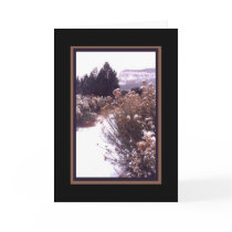 Path-Blank cards