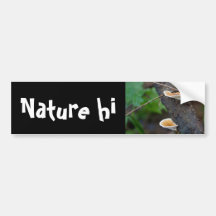 path ends bumper sticker