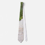 Path In Peat Moors In Sumava National Park Tie
