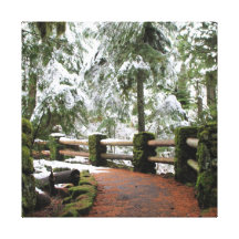 path in the forrest stretched canvas print