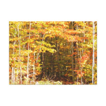 Path In The Woods Adirondacks Mountains Canvas Print