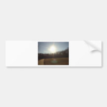 Path In The Woods Bumper Stickers