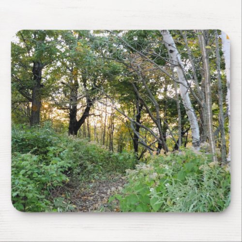 Path in the Woods Mousepad mousepad