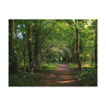Path in the Woods postcards by artberry Path in the Woods postcards