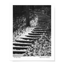 Path Less Chosen posters by wislander Path Less Chosen posters